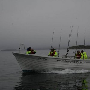 IMG 6230 (1024 x 768)