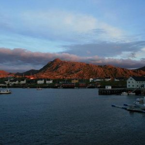 IMG 6337 (1024 x 768)