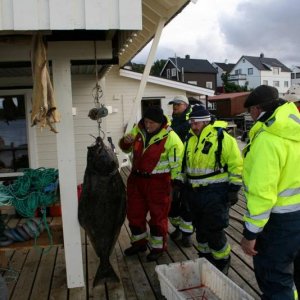 IMG 6320 (1024 x 768)