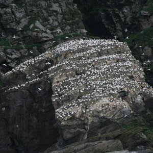 IMG 6367 (1024 x 768)