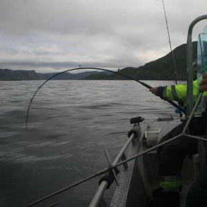 IMG 6373 (1024 x 768)