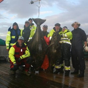 IMG 6449 (1024 x 768)