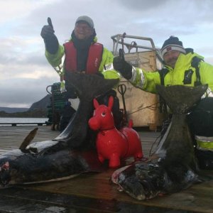 IMG 6440 (1024 x 768)