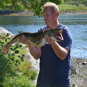 Trondheimsleia klein 6