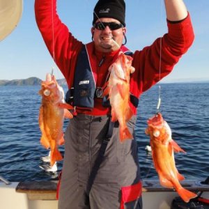 Antons Rothäute Triple