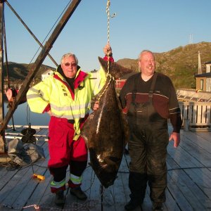 Detlef und Michaels Kveite Kracher