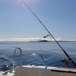 Stormi   der Buttbringer