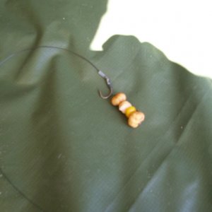 Schmackhafter Partikelköder.