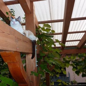 563155 462003843833315 820373575 n