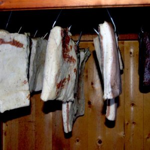 Speck