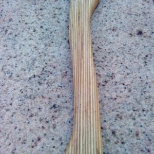 DSC02619
Multiplex - Birke