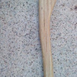 DSC02614
Multiplex - Birke