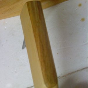 DSC02509
Buche mit Eiche