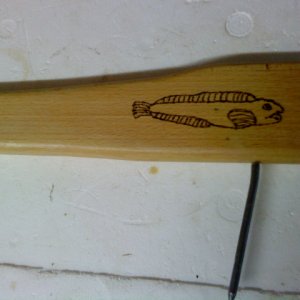 DSC02510
Buche mit Branding