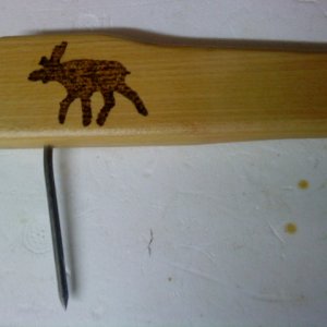 DSC02511
Buche mit Branding