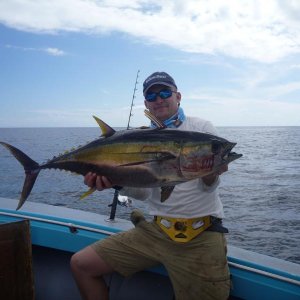 yellowfin3