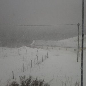 Schnee