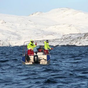 IMG 7884