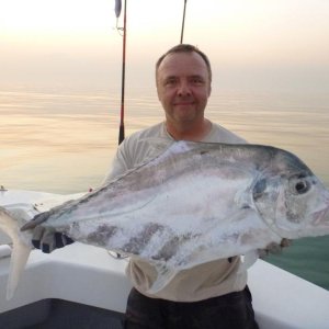 African Pompano