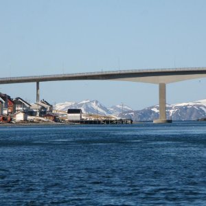 IMG 8388