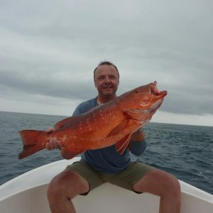 Cubera Snapper
