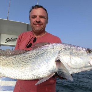 Longneck Croaker knapp unter WR