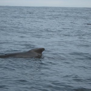 IMG 0172