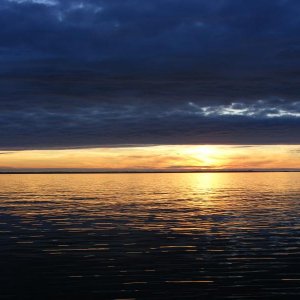 DSCF2610