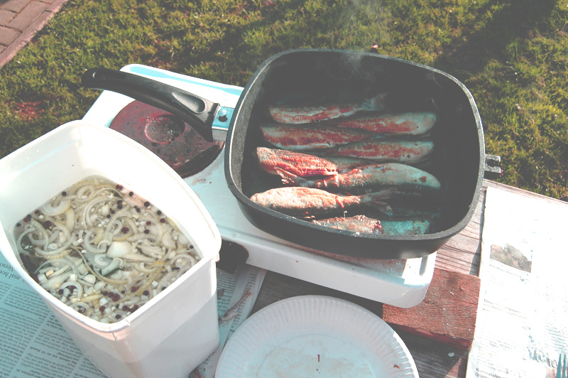 002012hering10