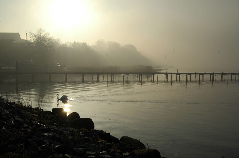 002012hering2