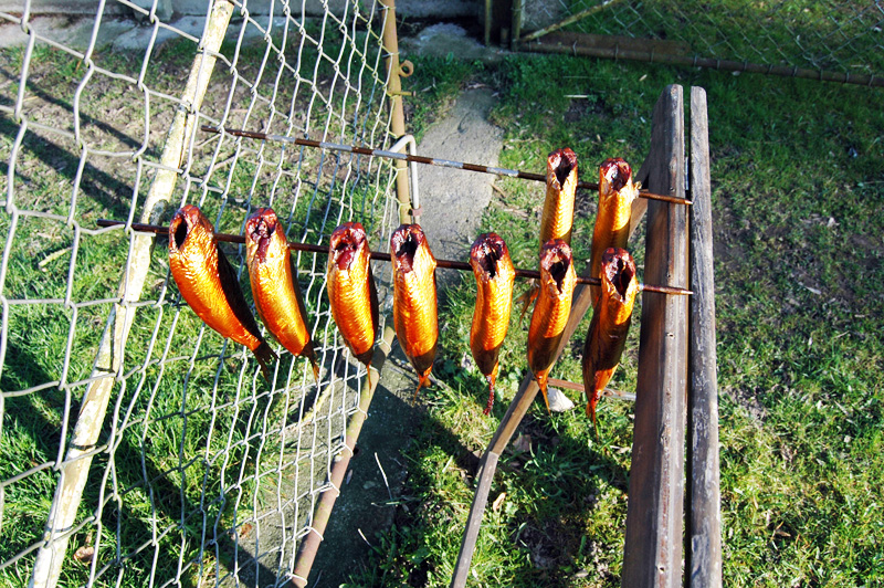 002012hering9