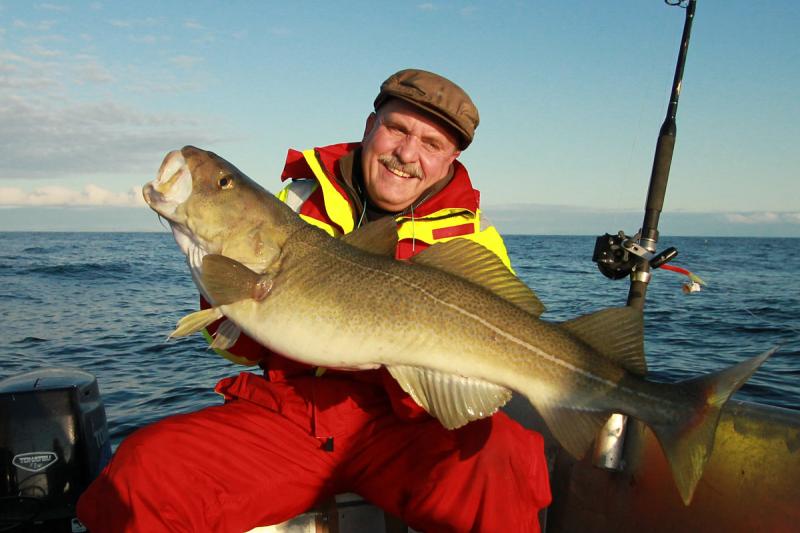 103cm Dorsch