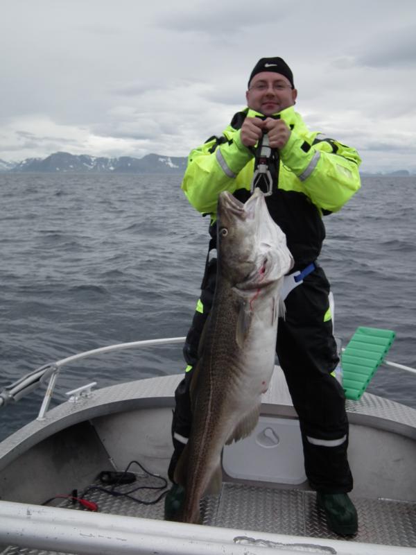 19kg