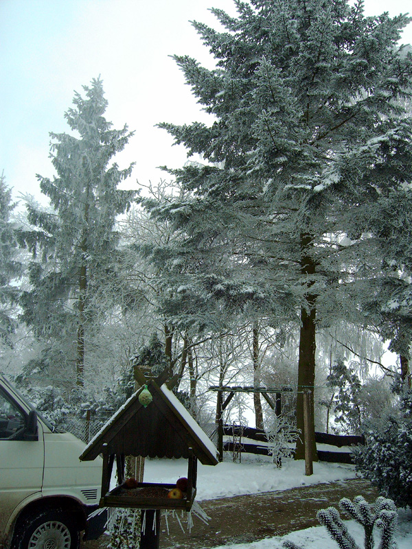 2010121