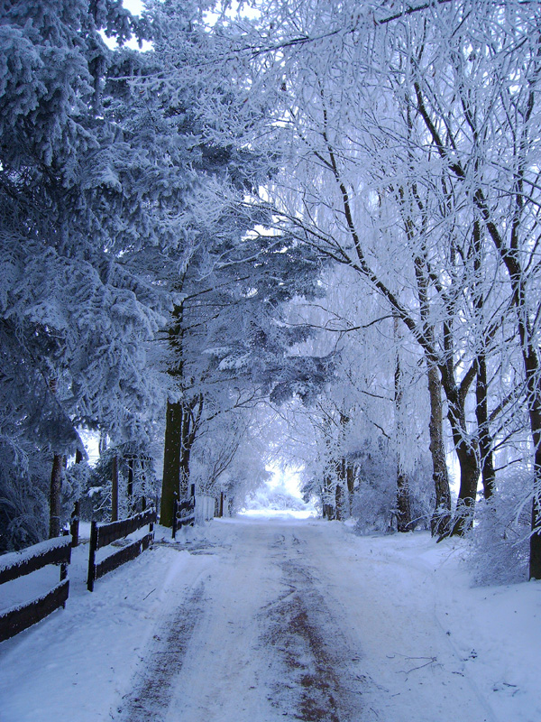 2010122