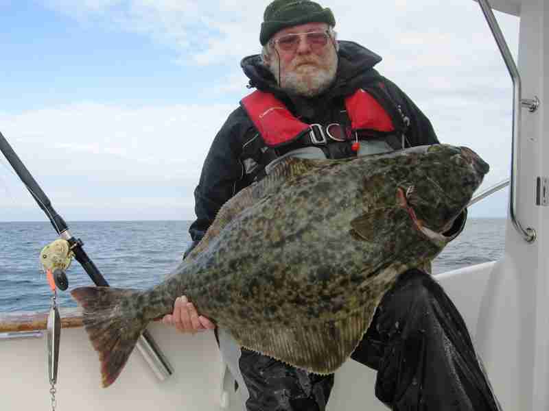 20kg-kveite aus torsvag - gefangen im mai 2009 auf der tour mit stefan lühring