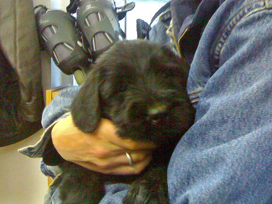 27092006202 001 edited