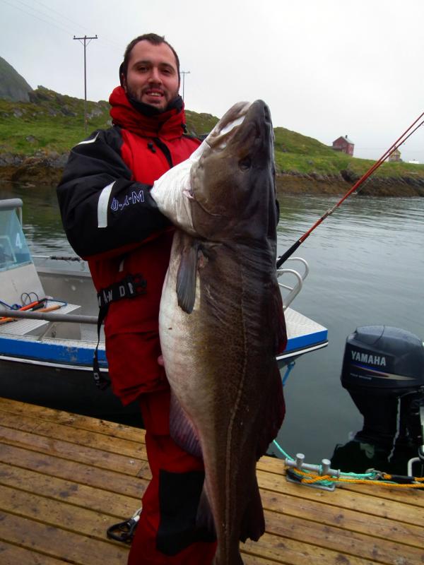 28kg - 144cm