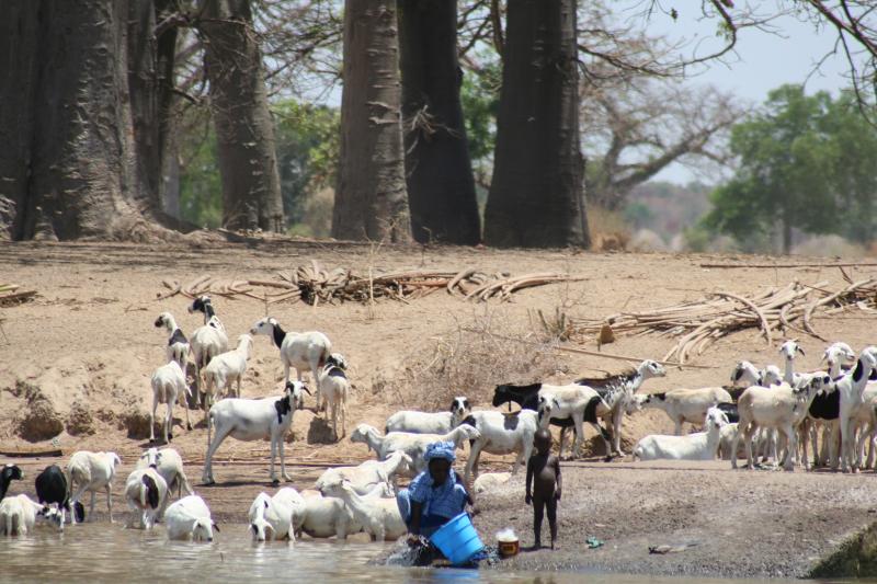 50km bis Mali Gambia River