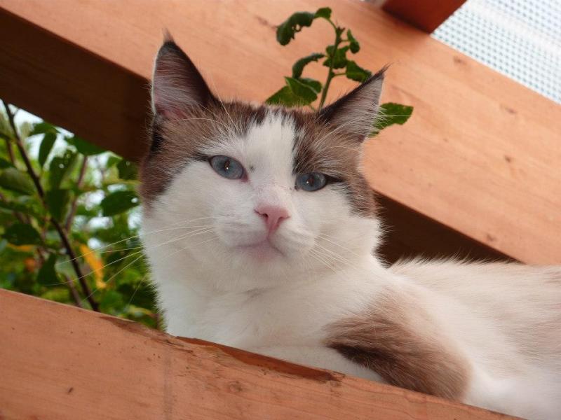 527043 462004037166629 1710885017 n