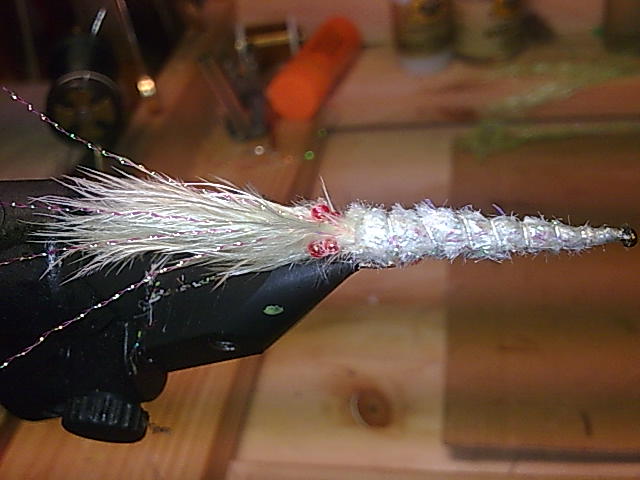 5530.jpg