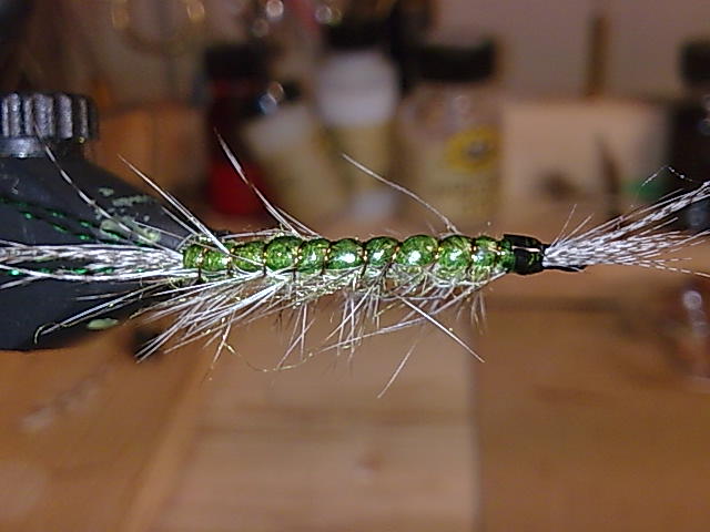 5590.jpg
