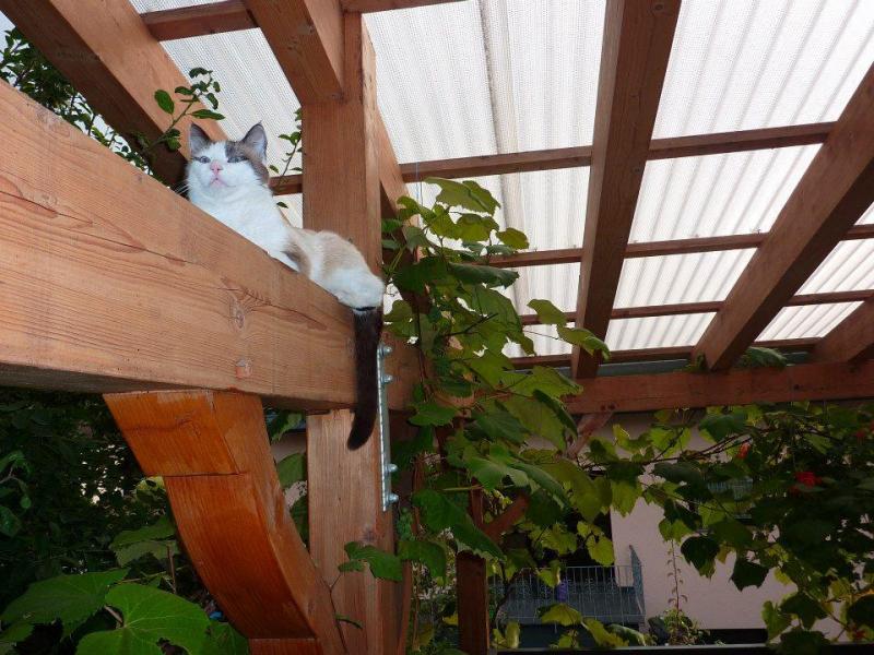 563155 462003843833315 820373575 n