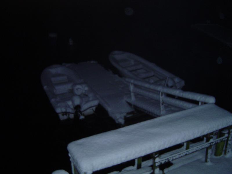 5915.jpg