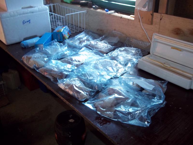 ab in die kühltruhe