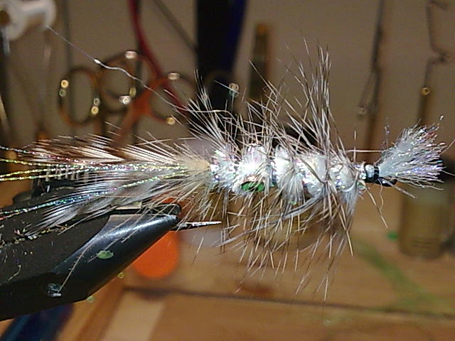 Alf Shrimp Pearl