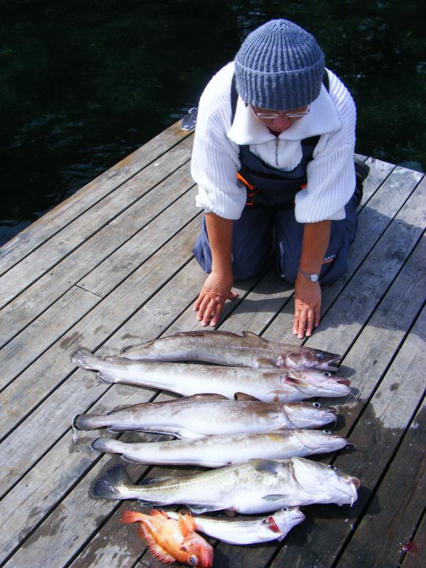 Am letzten Tag, dann endlich ein paar frische Heringe und den Wind aus der richtigen Richtung!!