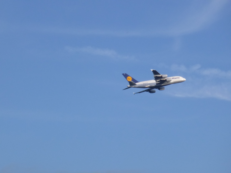 Auch das gehört zum Mainflair