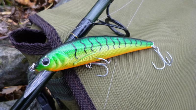 Auf Rapfen und Zander immer gut