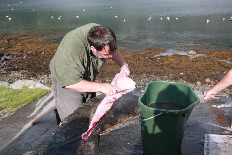 beim Butt filetieren